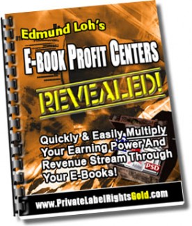 E-Book Profit Centers Revealed Give Away Rights Ebook