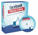 Facebook Penny Likes PLR Video With Audio