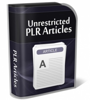 First Class PLR Article